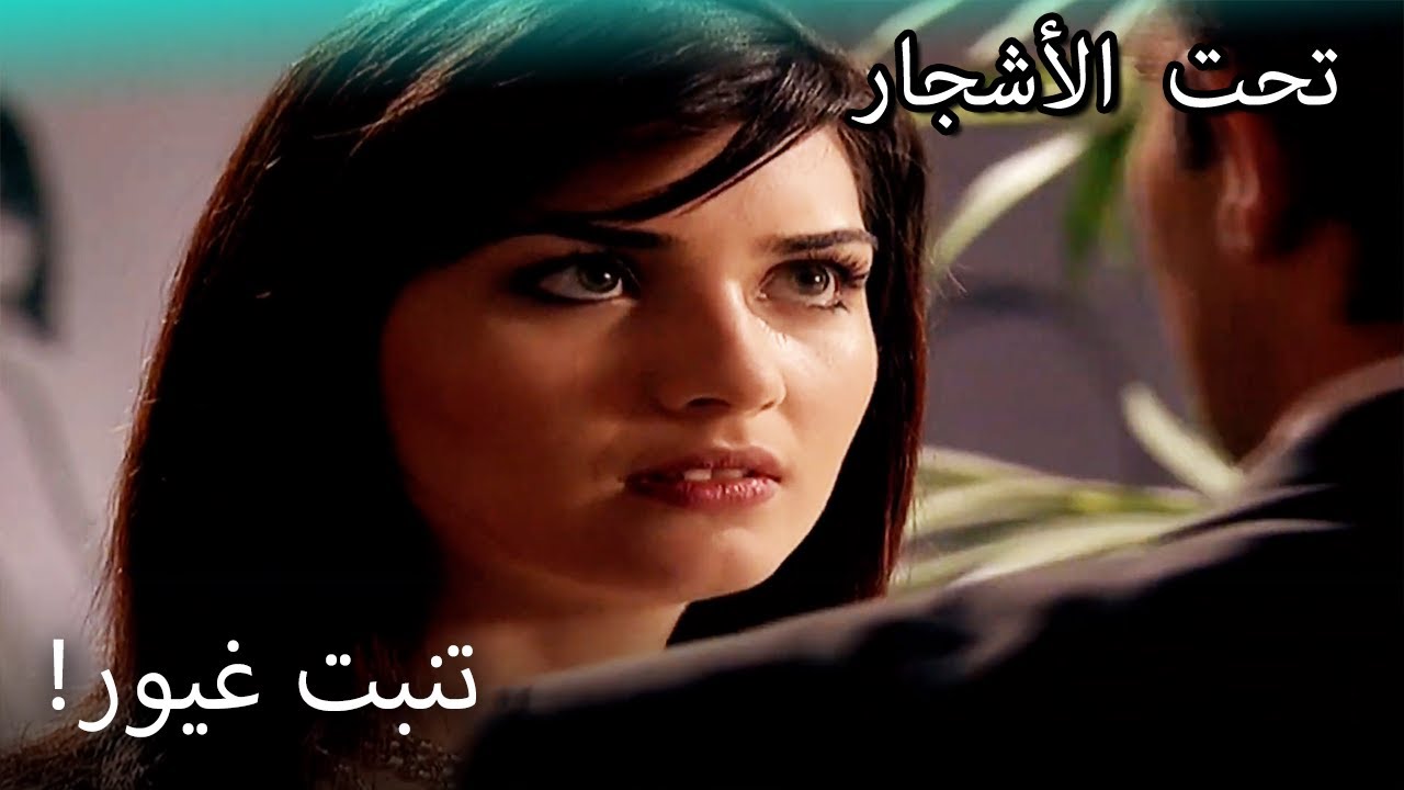 فيليز يشعر بالغيرة من يلماز! - القسم الخاص تحت الزيزفون