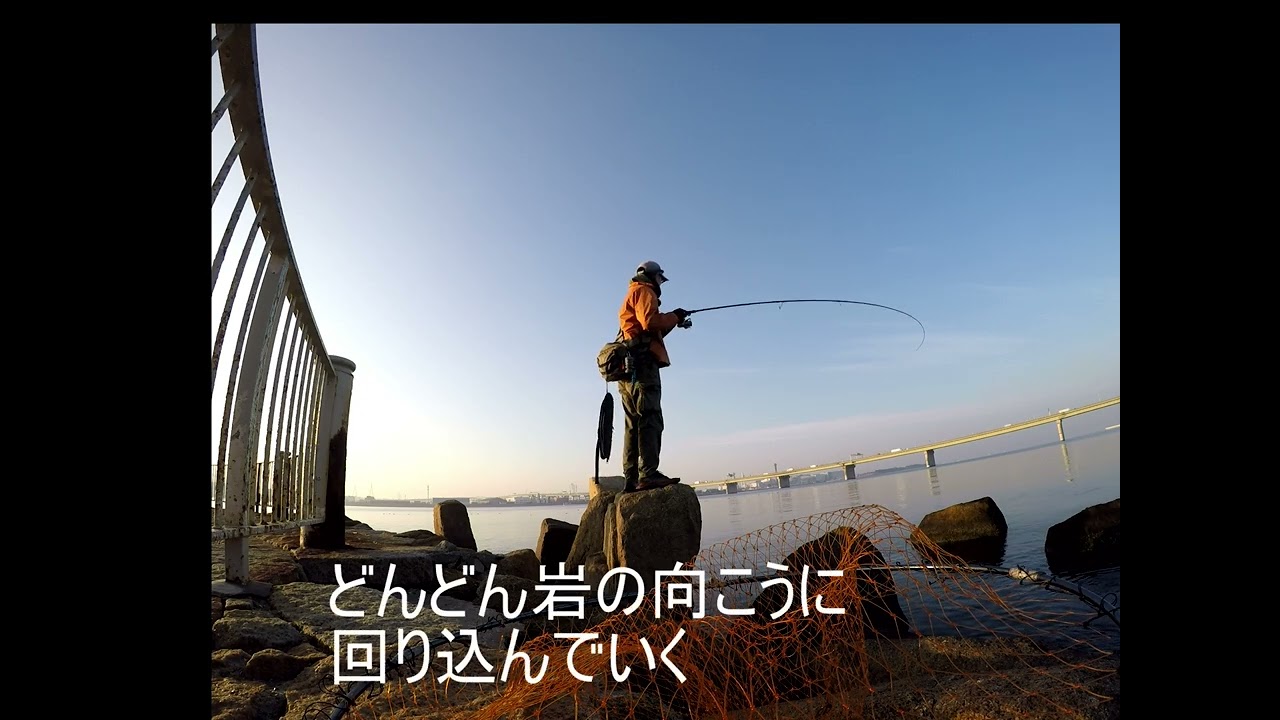 淀川矢倉緑地公園 2026/02/14