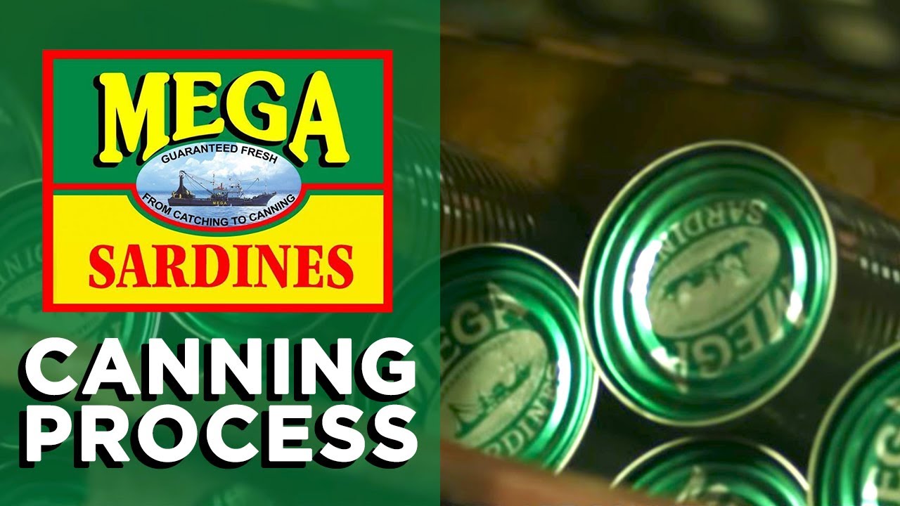 The Canning Process | How Sardines Are Made | The Mega Global Story