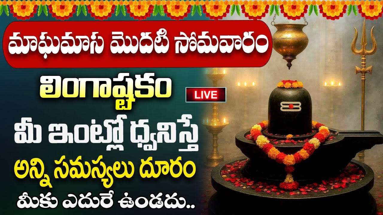 Live : మాఘమాసం + సోమవారం పరమశివుడి నామాలు మీ ఇంట్లో ధ్వనిస్తే అష్టకష్టాలు తొలిగి @MK tv‬