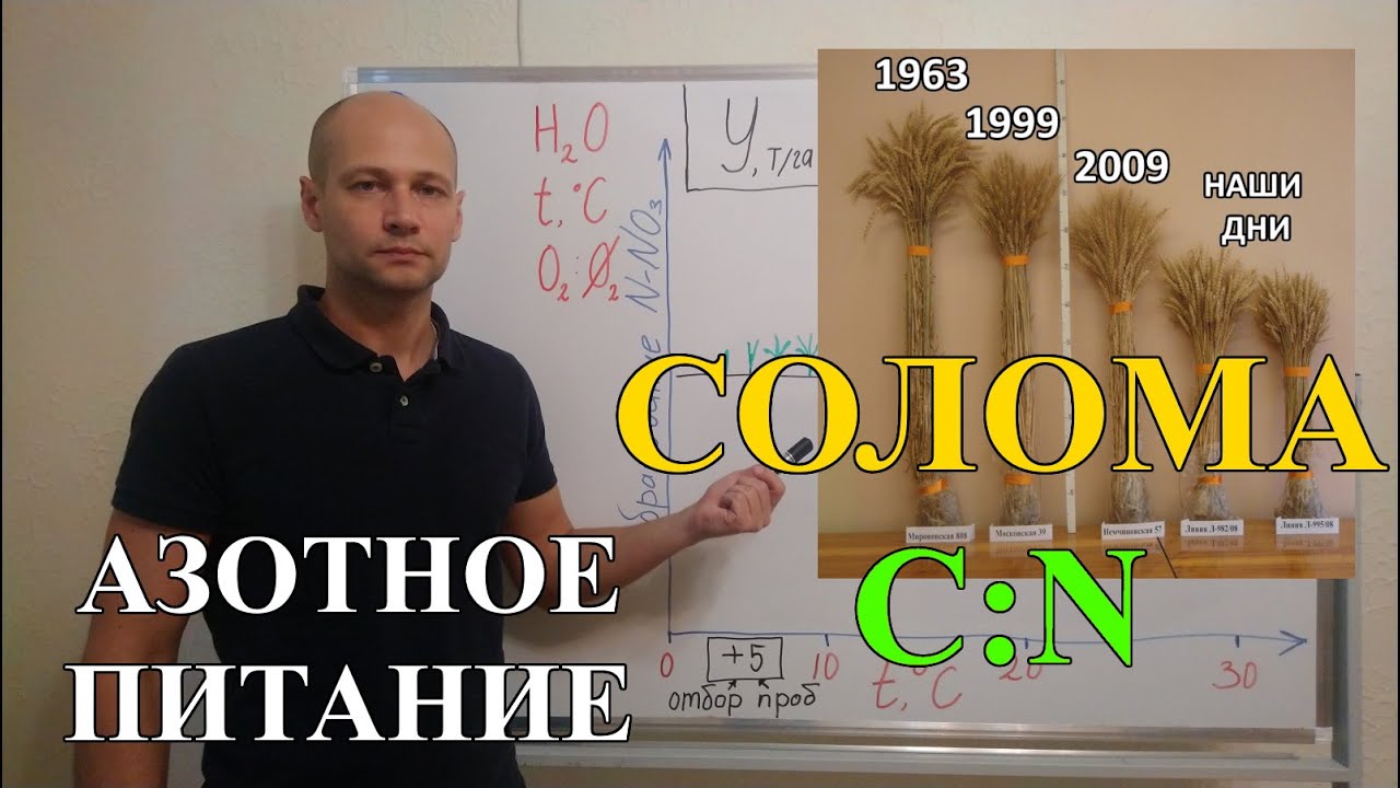 Корректировка азотных удобрений на солому зерновых и корневые остатки бобовых культур