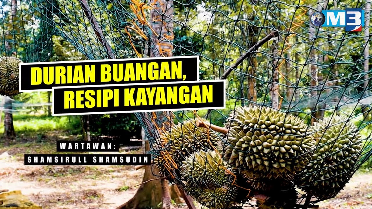 [FULL] Majalah 3 (2022) | 18 Jul - Durian Buangan, Resipi Kayangan