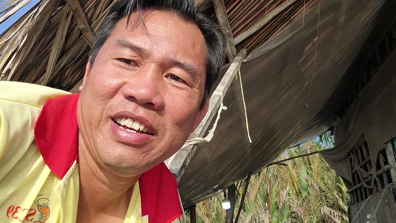 Chương trình nuôi tôm Thắp Sáng Mơ đạt hiệu quả trong một năm Mình cúng heo bà con ơi
