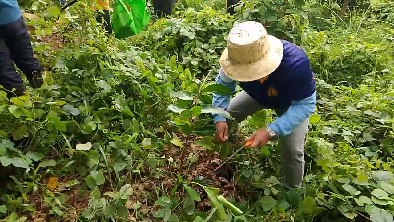 Care for mother earth
