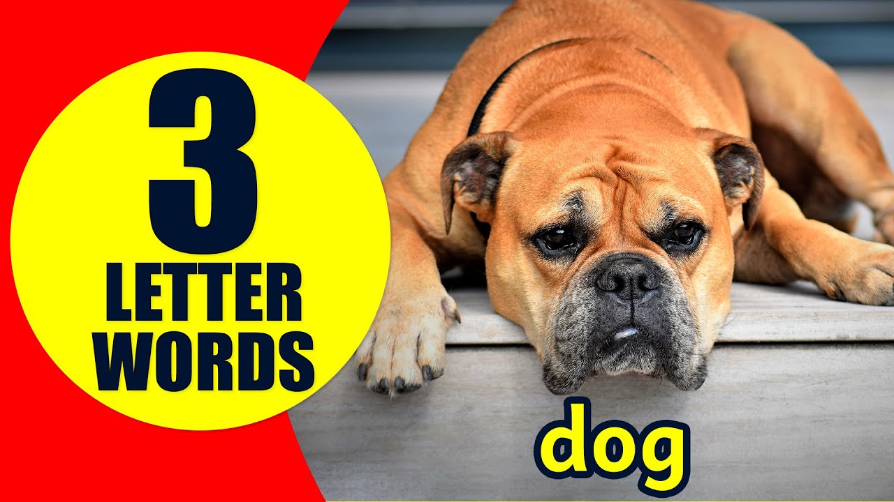 3 Letter Words for Kids - Learn to Read and Spell