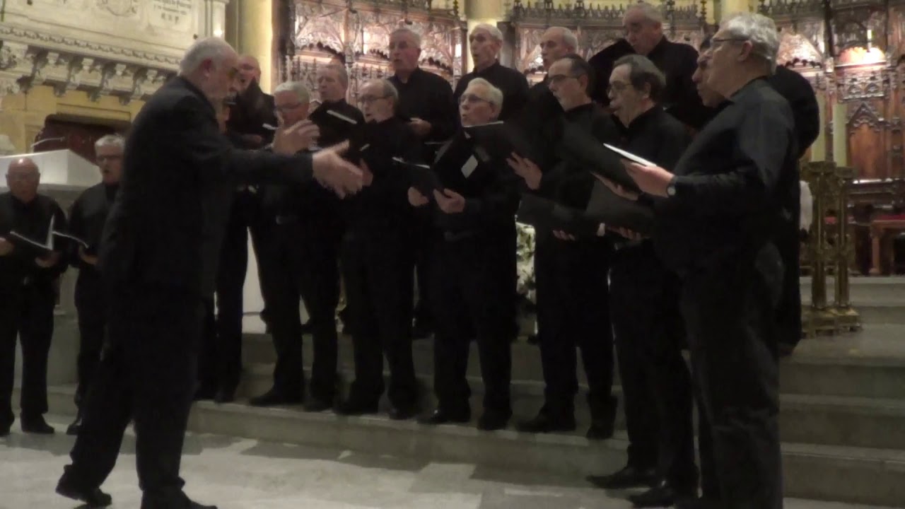 Coro de Cámara Gaztelupe. 