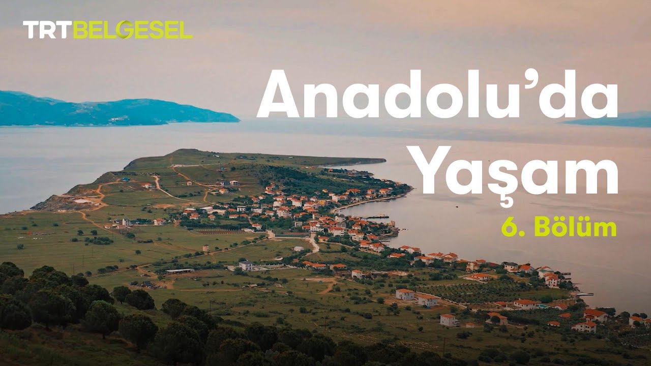 Anadolu'da Yaşam | Ada | TRT Belgesel