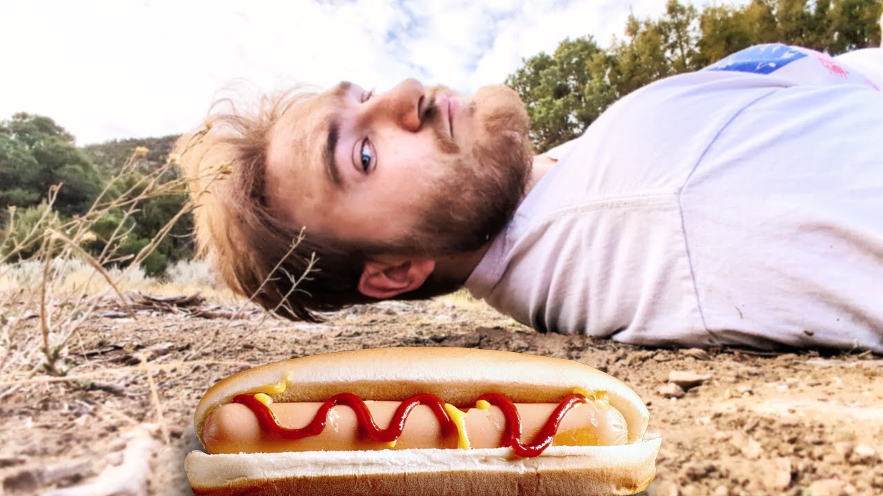 Which Gas Station Hot Dog Will Save My Life?