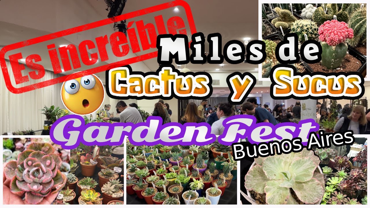 Tour por la Feria de Cactus y Suculentas más TOP de Buenos Aires - La Garden Fest
