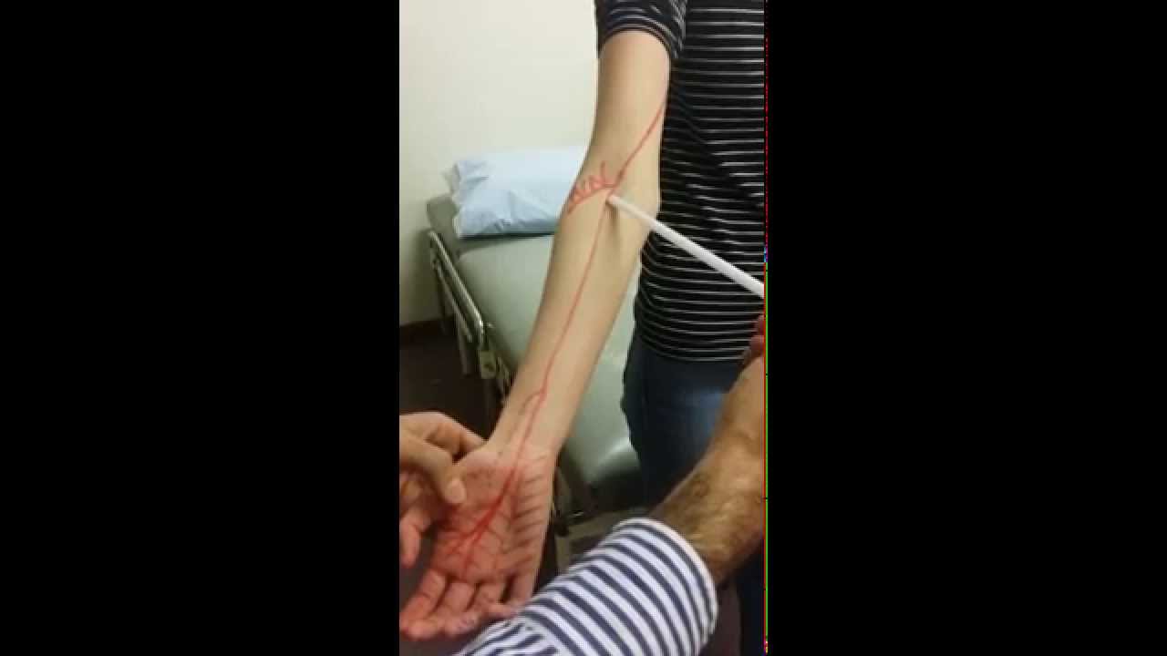 3. UL Median nerve - Course