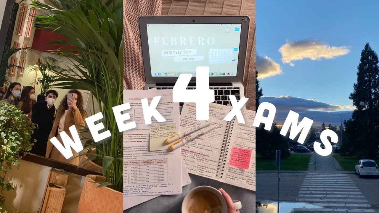 Week-xams 4: Último examen: ginecología. Os cuento donde voy a rotar - Angela Walters