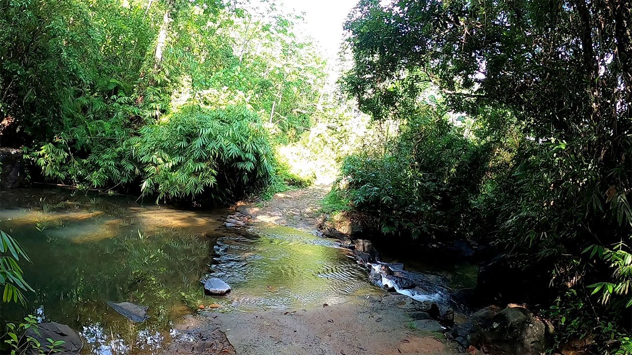 දොල පාරක්/තේ/රබර්/කොලඹට නුදුරුව/sithara/0770609858