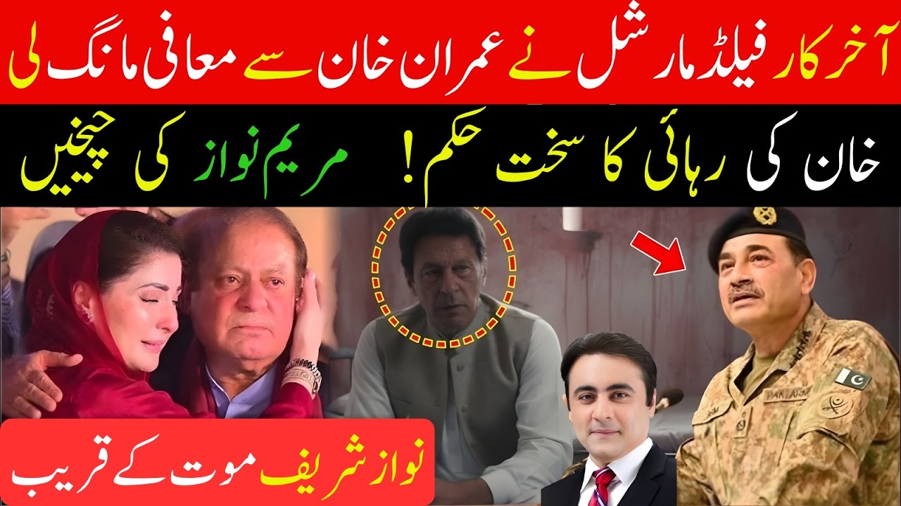 عمران خان کی واپسی! حکومت پر خوف طاری!  شہباز شریف گرفتار! فیلڈ مارشل مذاکرات Mansoor Ali Khan News