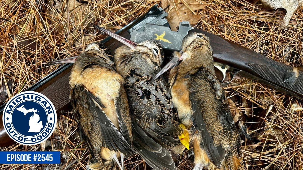 Cast and Blast, Goose & Grouse Hunting, Bow Hunting; Michigan Out of Doors TV #2545