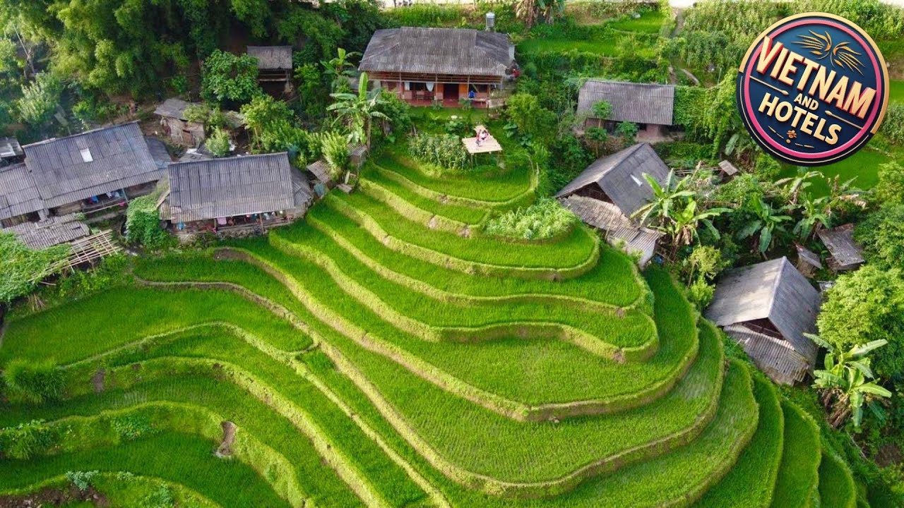 My's Homestay sapa | Sapa, Vietnam | Hotel Review 🏩