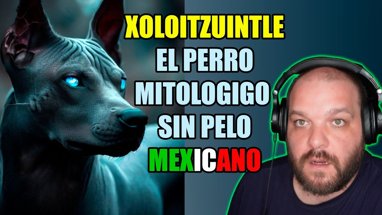 XOLO, el perro mexicano MITOL&Oacute;GICO sin PELO, XOLOITZUINTLE, espa&ntilde;ol reacciona