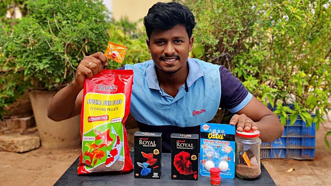 My Fish Food 🐠| நான் மீனுக்கு என்ன உணவு போடுகிறேன்!
