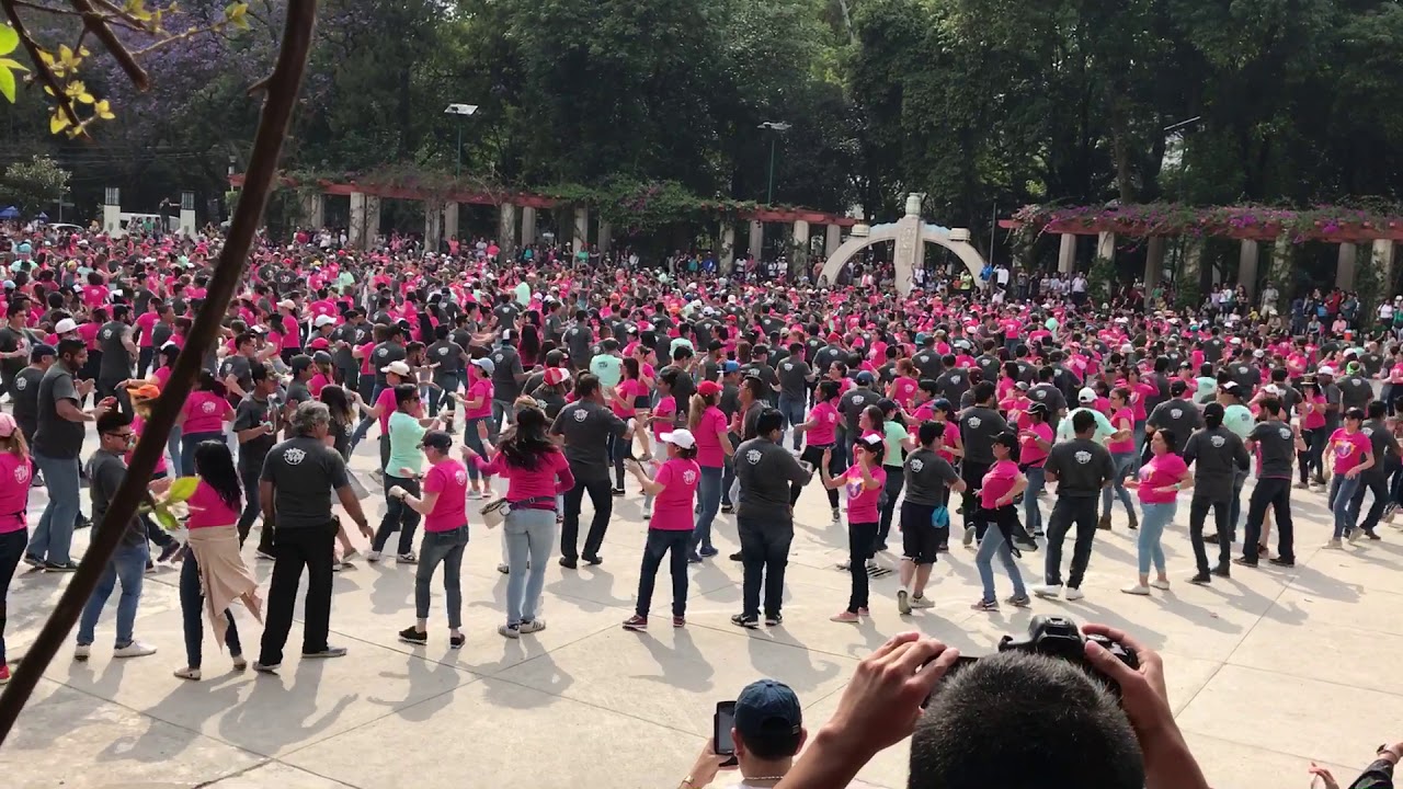 Mega Rueda Salsa Casino 2018 Parque M&eacute;xico