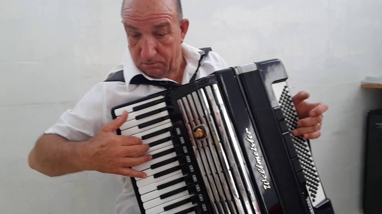 Weltmeister Consona 120 Bass LMMH Accordion Akkordeon Fisarmonica Black + Case 1
