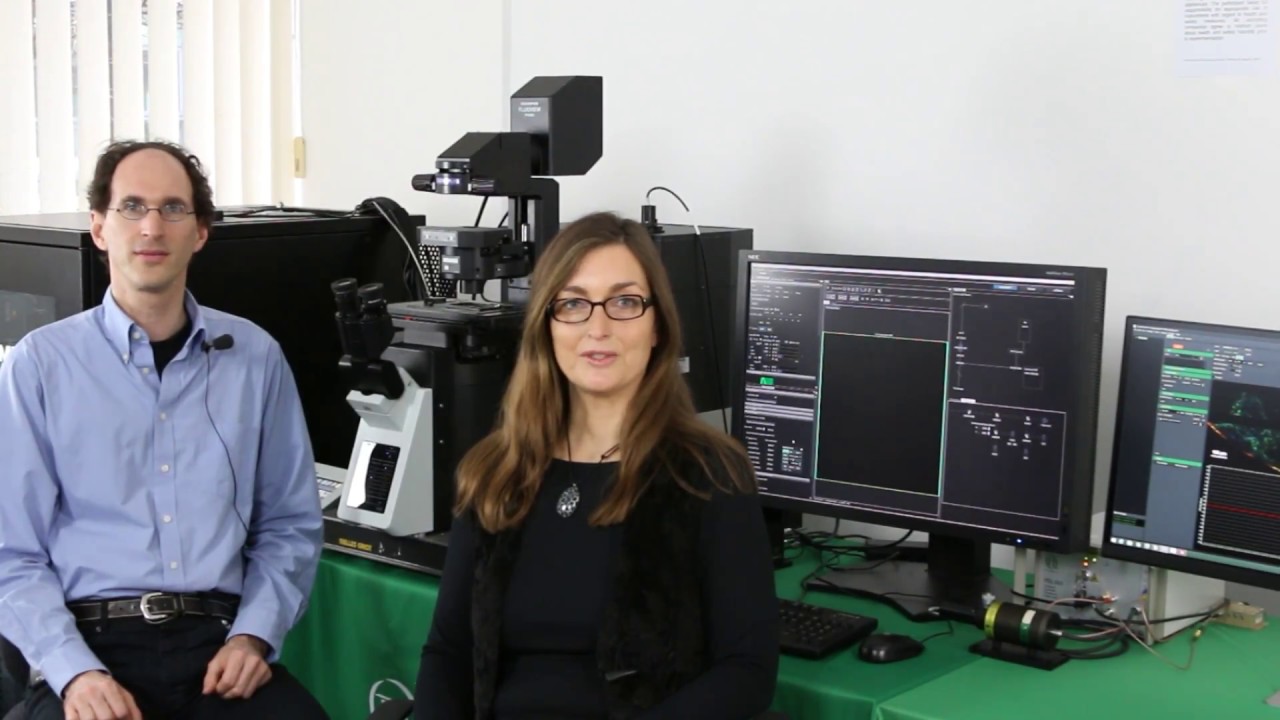 Olypmus FluoView 3000 with PicoQuant FLIM & FCS Upgrade Kit