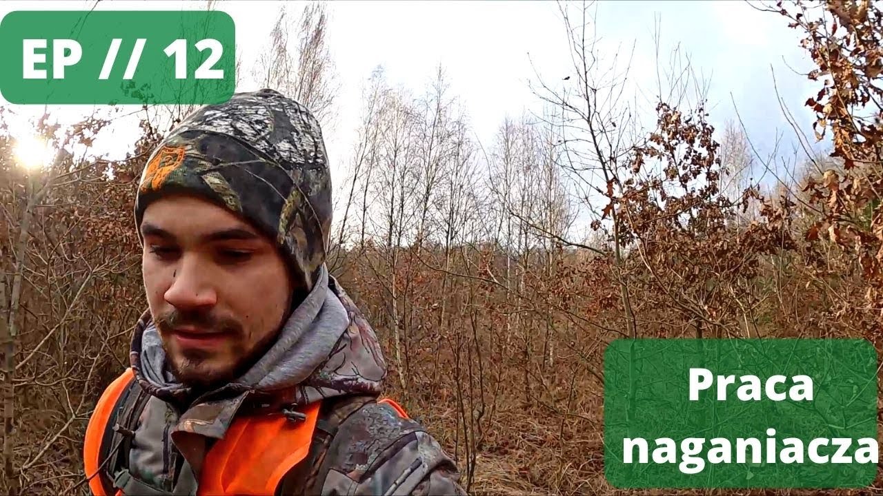 Praca w nagance + zrzut podczas naganiania #JakZostaćMyśliwym EP // 12 Zrzuty 2022