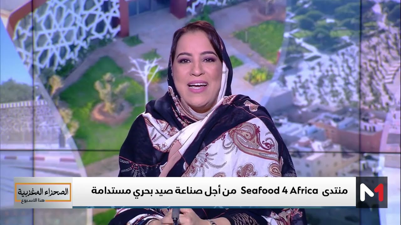 الطريق السريع تزنيت-الداخلة .. همزة وصل للمملكة بأسواق إقليمية وقارية