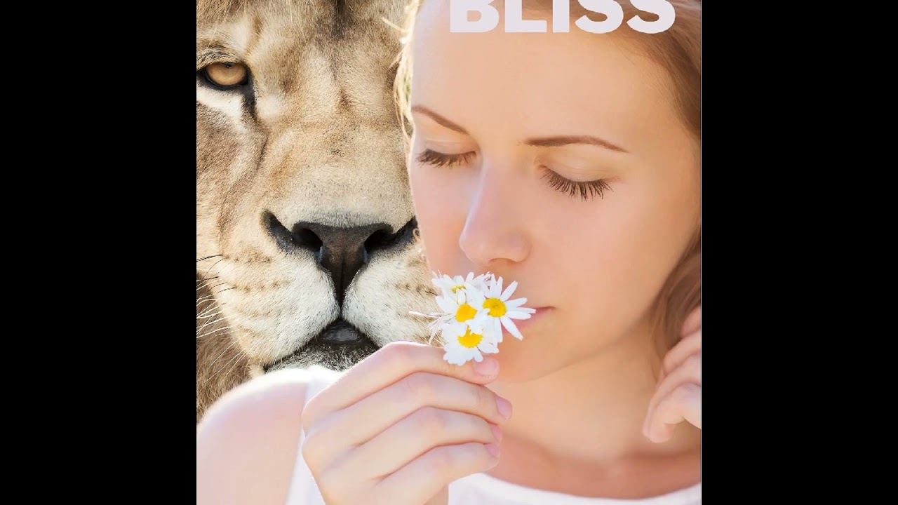 Follow Your Bliss, But Don't Take The Piss