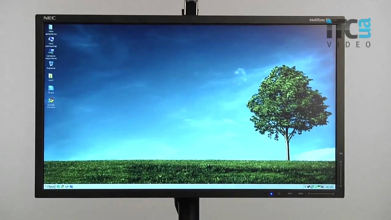 Обзор NEC EX231W