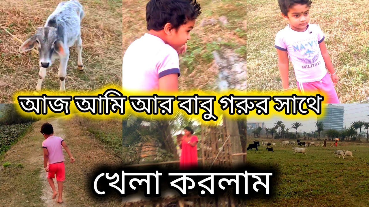 আজ আমি আর বাবু গরুর সাথে খেলা করলাম //ডেলি ব্লগ //village...
