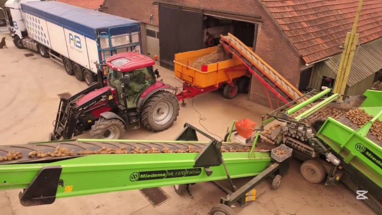 Aardappels Laden | A.B Texel | Mc Cain| Case 735 Farmlift | 2Unlimited