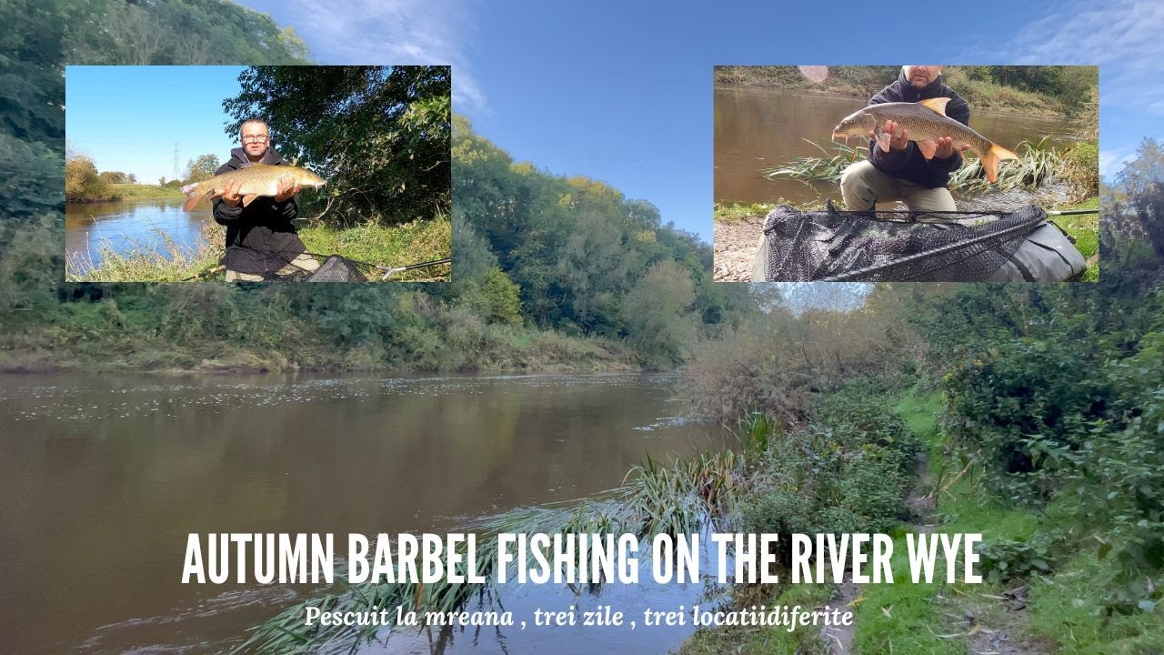 Toamna in căutarea mrenelor pe river Wye /Autumn Barbel fishing on the River Wye