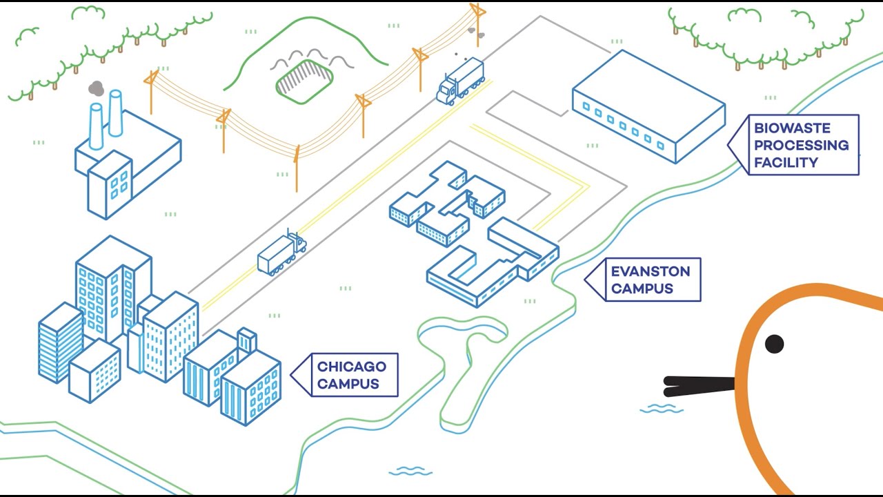 A Bird's Eye View - Biological Waste Minimization and the Environment