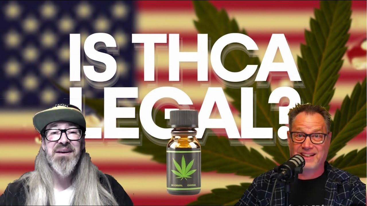 Cannabis News: Is THCa Legal w/ Scotty Real & Chad Westport | Spider Farmer 6L Ultrasonic Humidifier