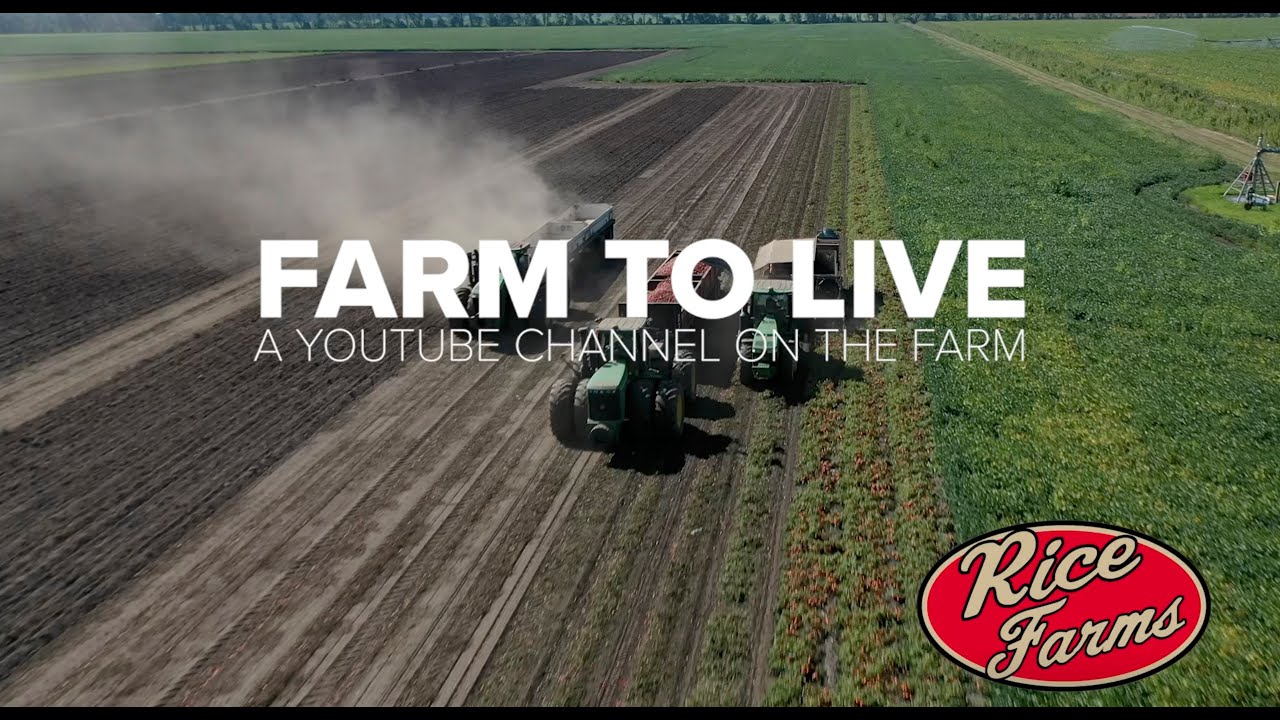The Mighty Tomato Harvester