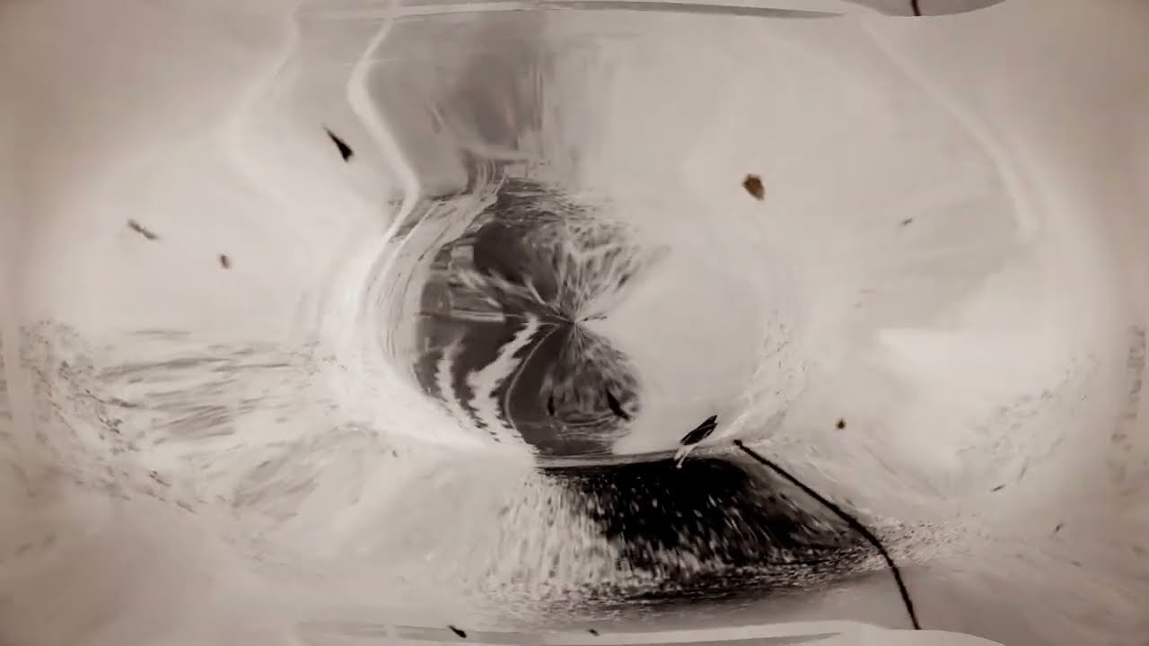 Micro-dosed? Macro-toasted ༎ຶ⁠‿⁠༎ຶ