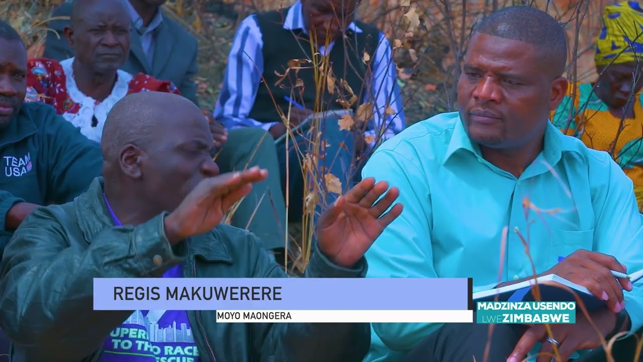 MADZINZA USENDO LWEZIMBABWE :The Story of vanaMoyo Maongera:
