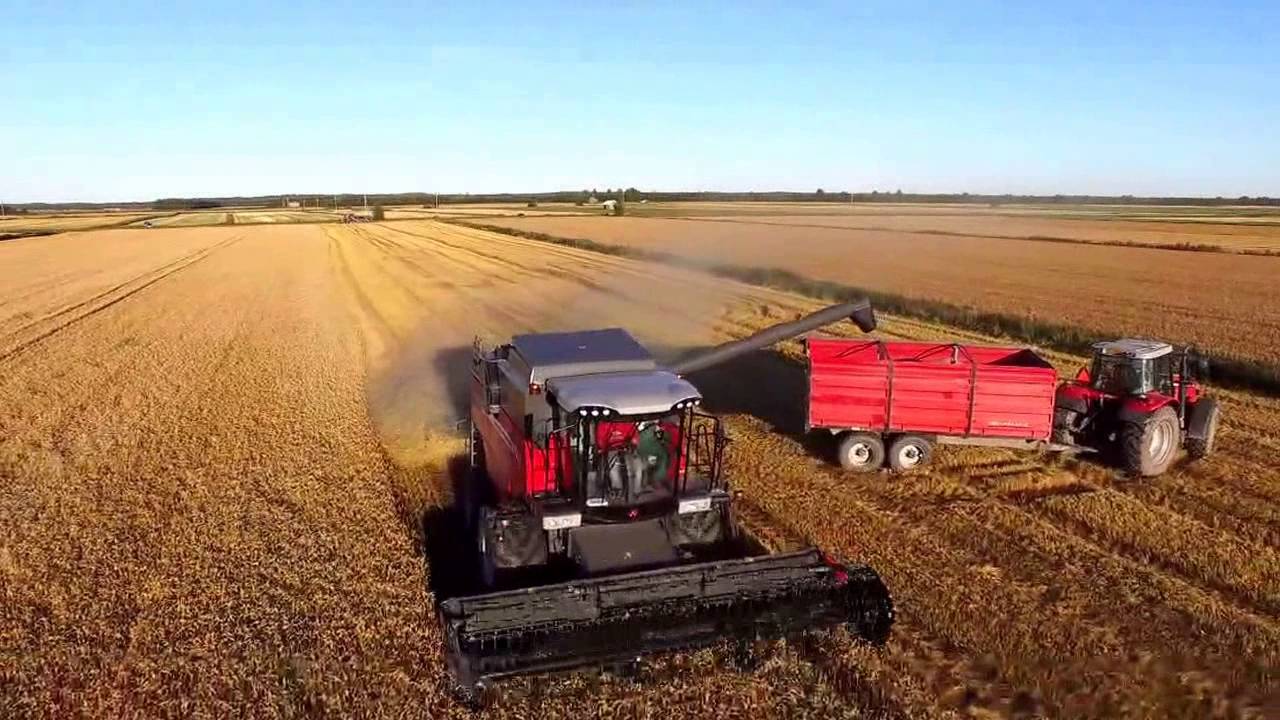 Massey Ferguson 7344 Activa