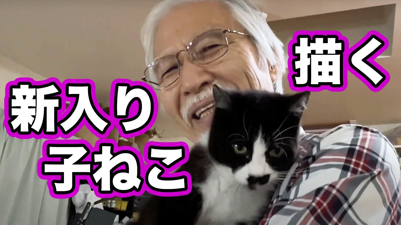 【保護猫】新しい子猫を描いてみた！出会いのシーンもあるよ