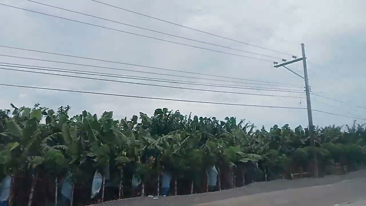 Travel captured No talk Malahay To Lebirtad Davao del Norte #philippines 