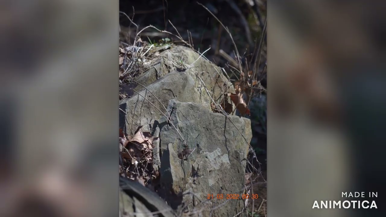 A nature landscape slide show