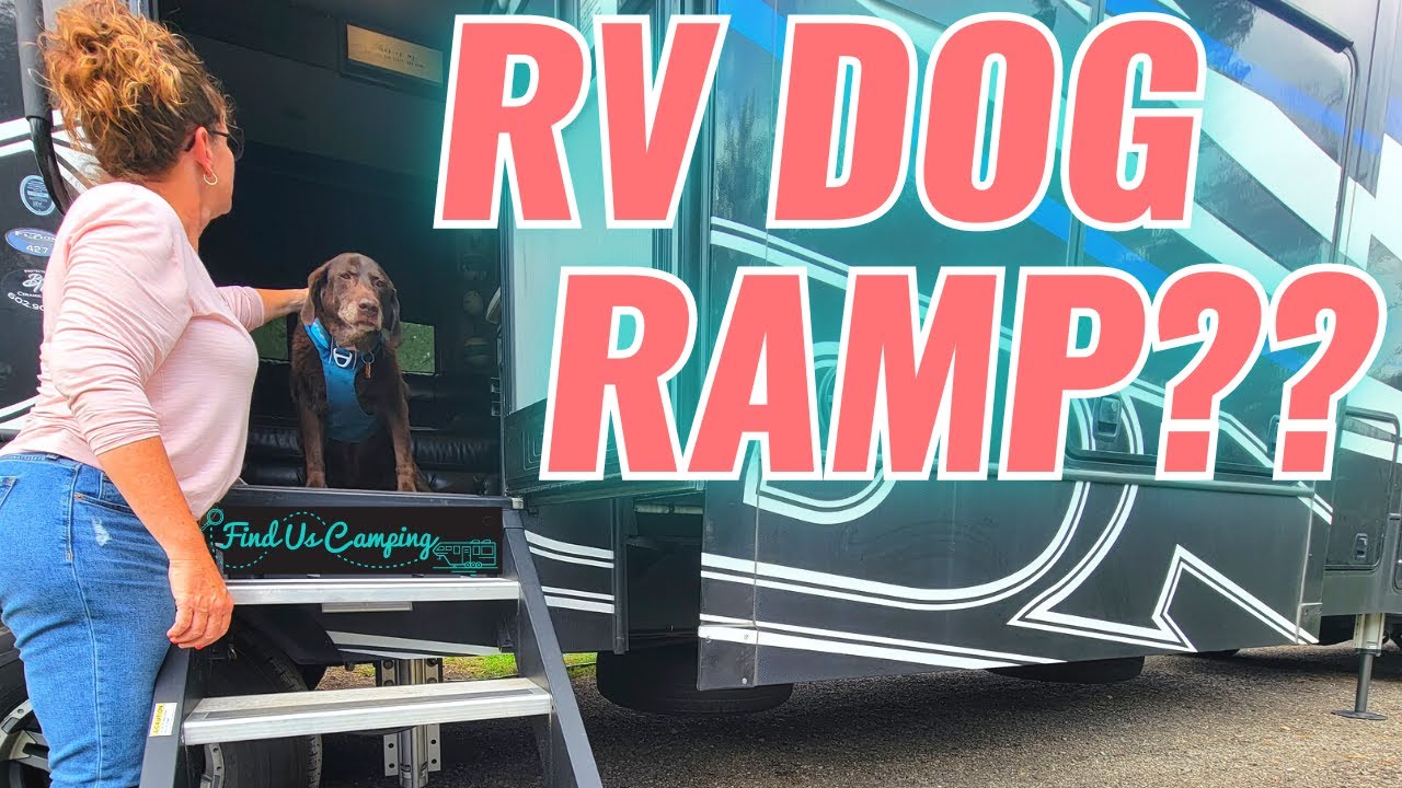 Какой пандус для собак вы используете на своем автодоме?