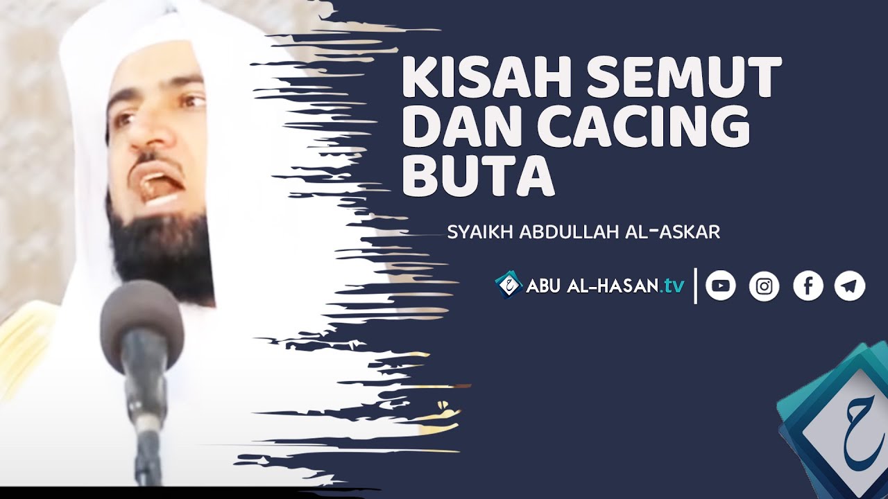 Kisah Semut & Cacing Buta Di Zaman Nabi Sulaiman