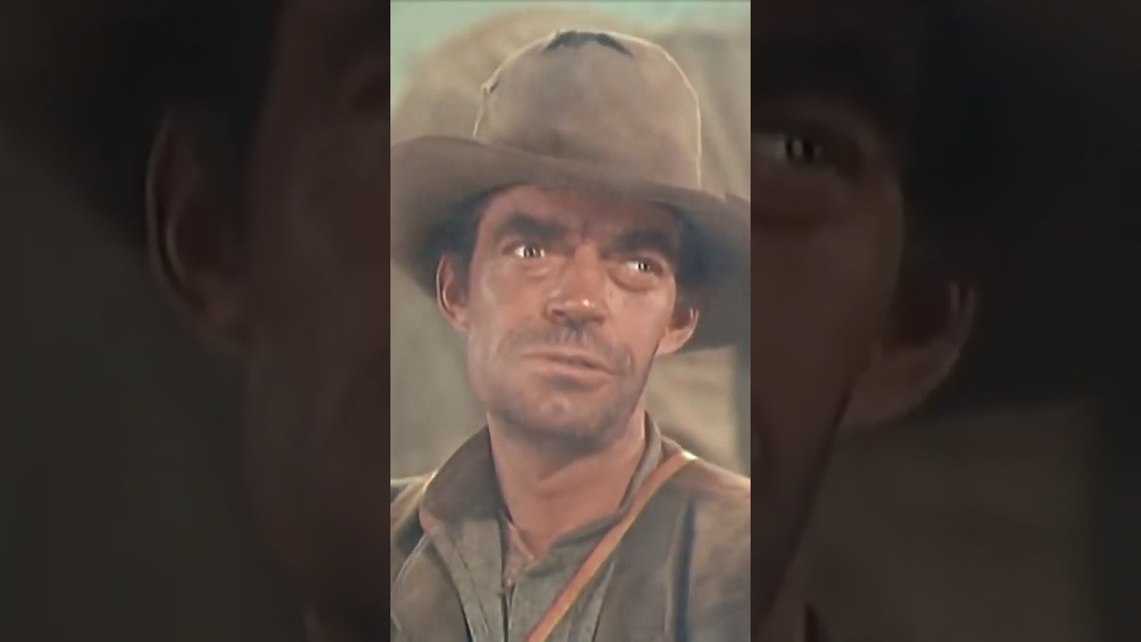 BONANZA 