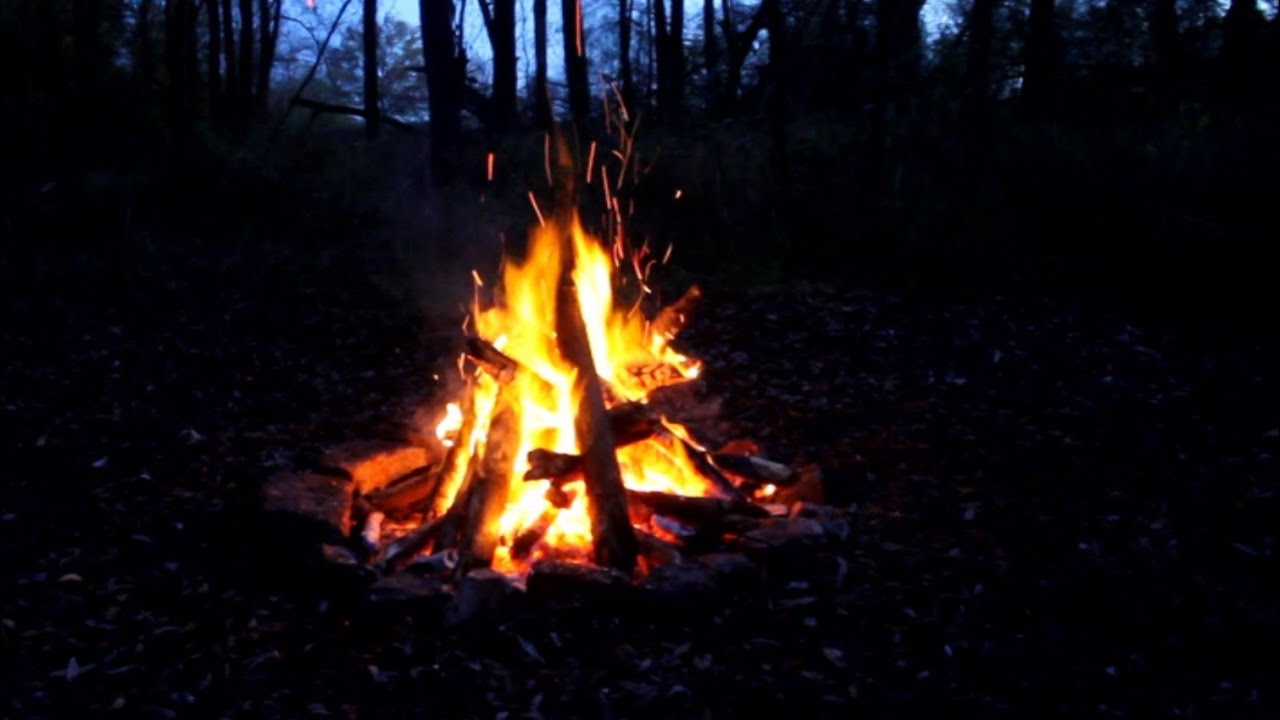 Campfire in the Dark Forest | 4 HOURS