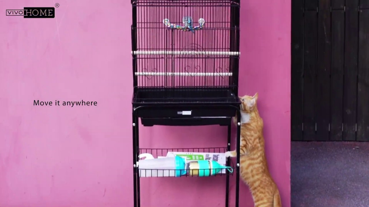 The Best Bird Cage for Parrots Conures, Lovebird, Cockatiel, Parakeets on Amazon 2021 VIVOHOME