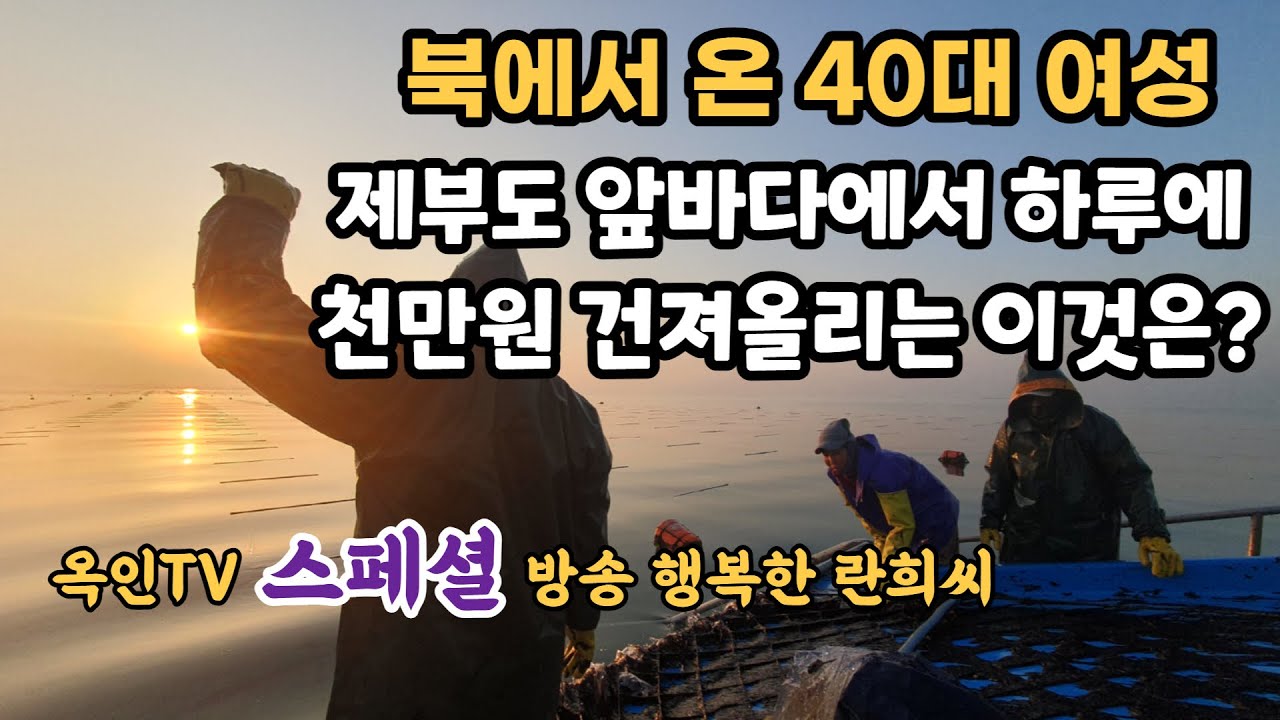 79회 북에서 온 40대 여성이 제부도 앞바다에서 하루에 천만원 건져 올리는 이 것은 ? #제부도 #서해바다 #김양식 #블루칩 #한국기행 #옥인TV