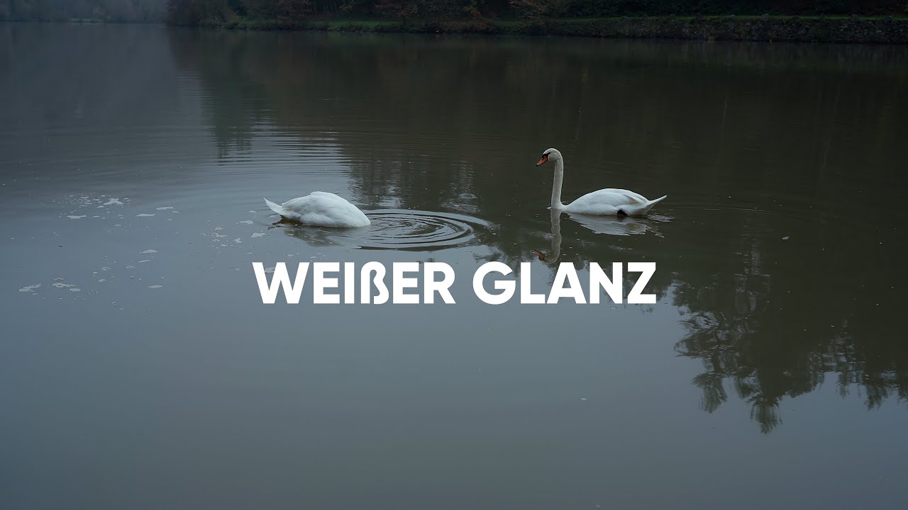 Trübe BRÜHE! Zander FANGEN bei Hochwasser!