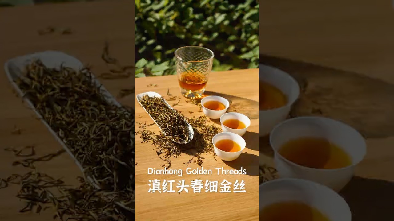 Dianhong Golden Threads | 滇红头春细金丝 #blacktea