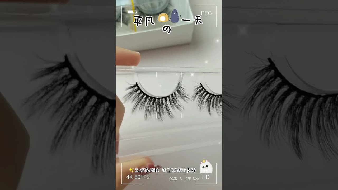 Vegan Lashes Wholesale DW09 | Best Vegan Eyelash Supplier | #Shorts