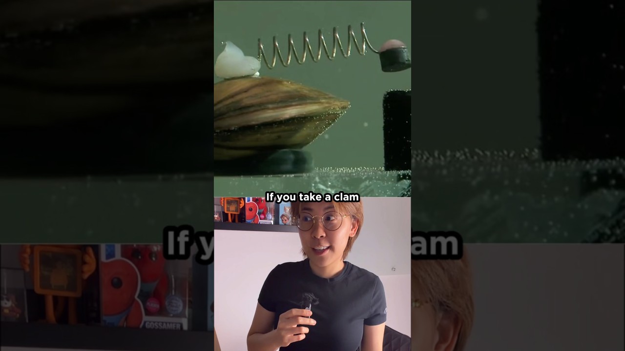 Nature's Perfect Pollution Detector Is A Clam #genius
